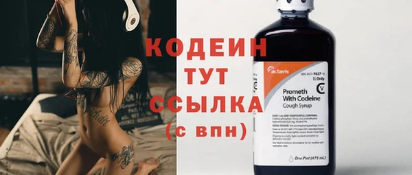 дживик Иннополис