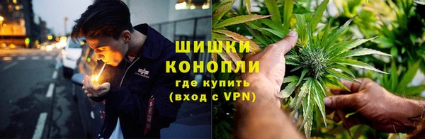 дживик Иннополис